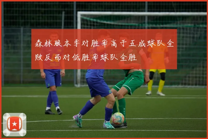 森林狼本季对胜率高于五成球队全败反而对低胜率球队全胜
