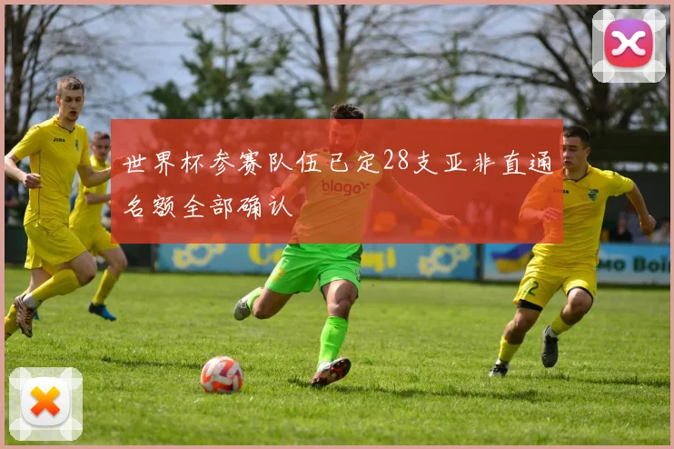 世界杯参赛队伍已定28支亚非直通名额全部确认